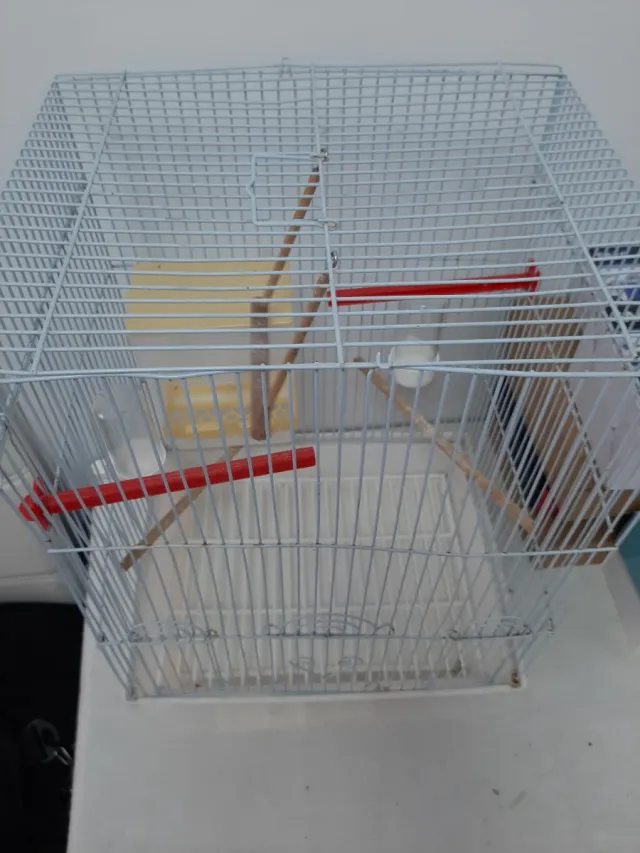 Jaula para pájaros plateada y blanca