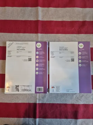 Arte e territorio. Per le Scuole superiori. Con...