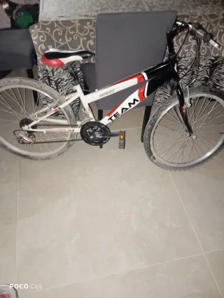Bicicleta de montaña TEAM Spirit