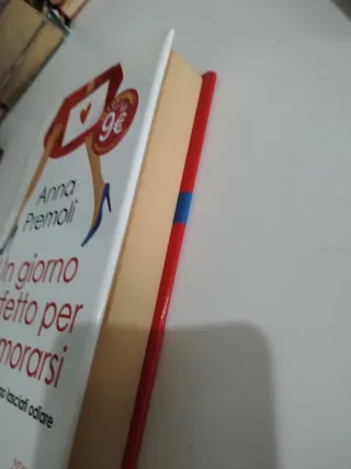 Un giorno perfetto per innamorarsi