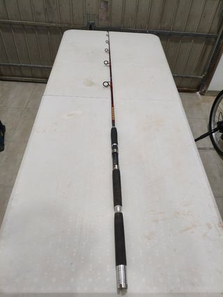 Caña Jigging Kalikunnan Cruiser 60-200