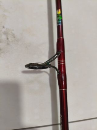 Caña Jigging Kalikunnan Cruiser 60-200