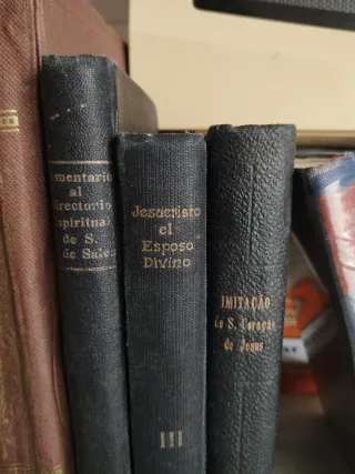 Lote libros antiguos