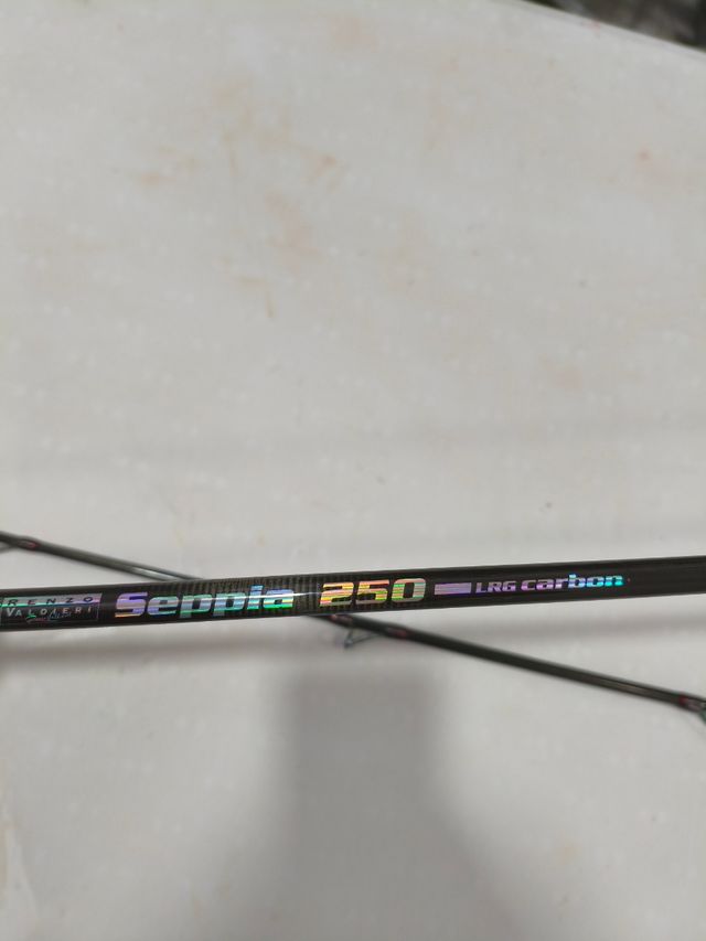 Caña de pesca eging Seppia 250 LRG Carbon
