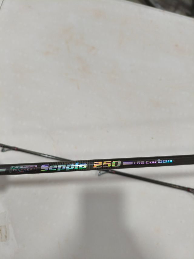 Caña de pesca eging Seppia 250 LRG Carbon