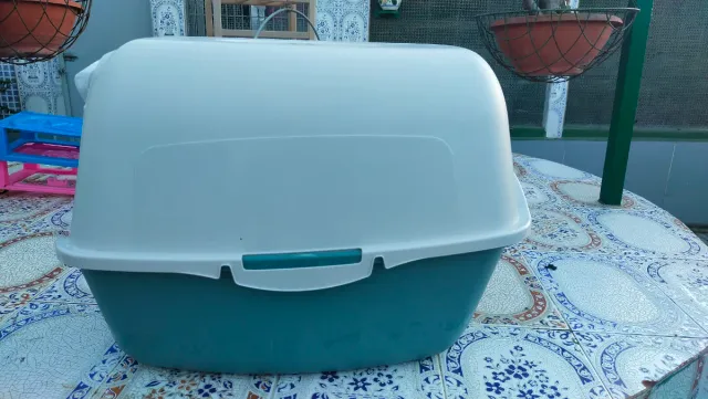 Gatera myPet Azul y Transparente