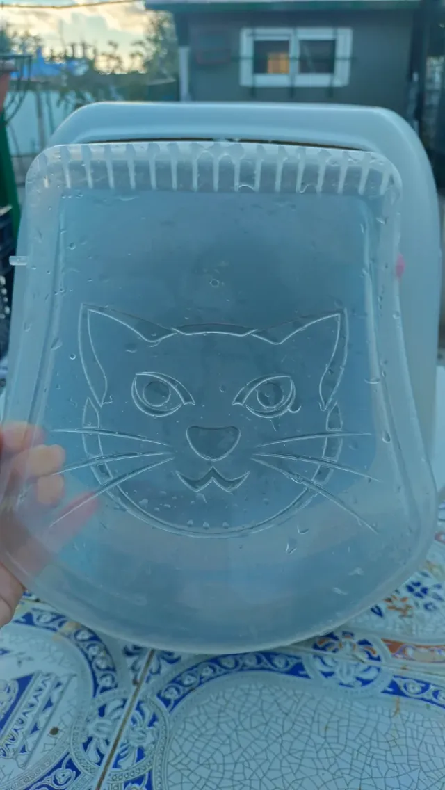 Gatera myPet Azul y Transparente