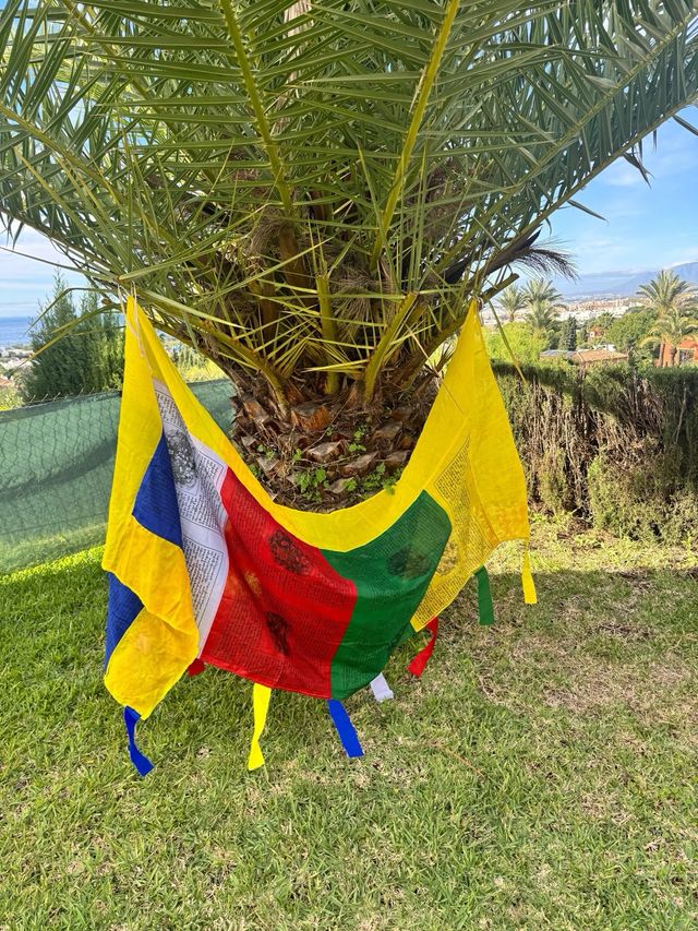 Bandiera tibetana con asta Tara