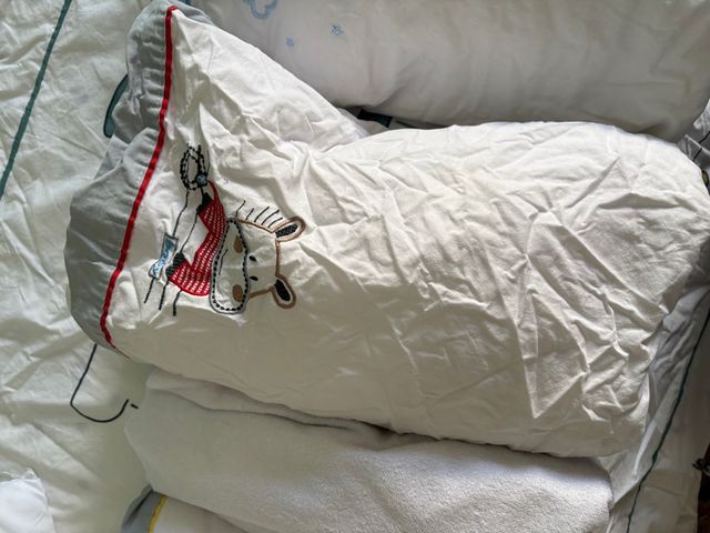 Lote Maxi Cuna: Protector y Colcha