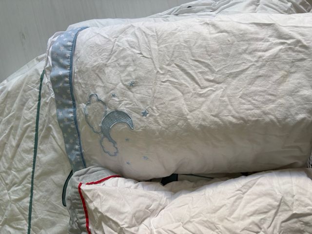 Lote Maxi Cuna: Protector y Colcha