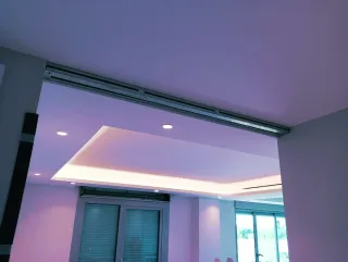 Alisador profesional