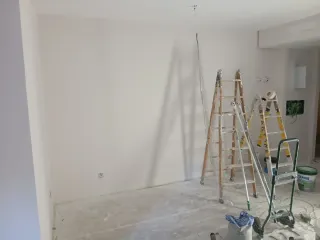 Alisador profesional