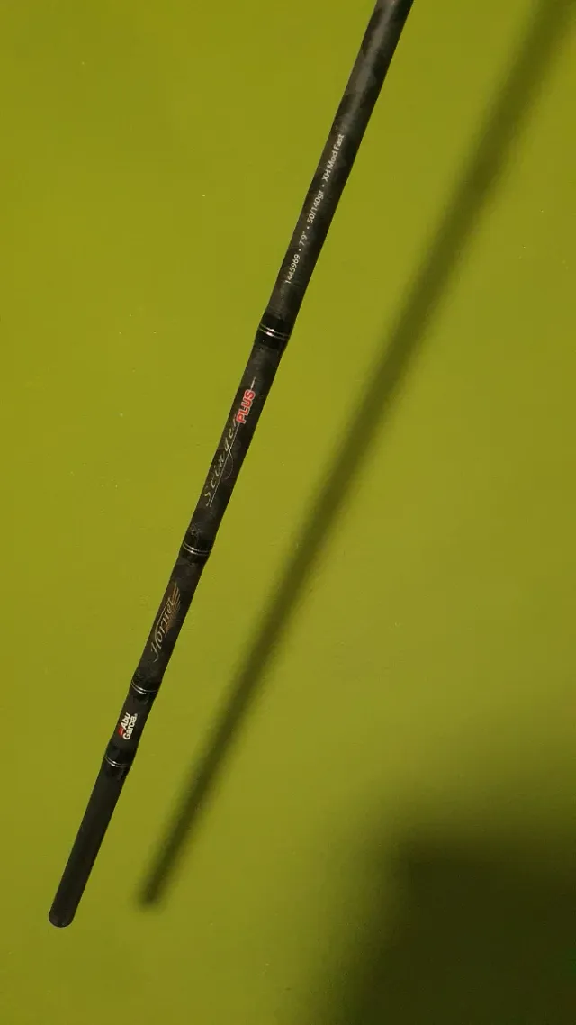 Caña Abu Garcia Hornet Stinger Plus