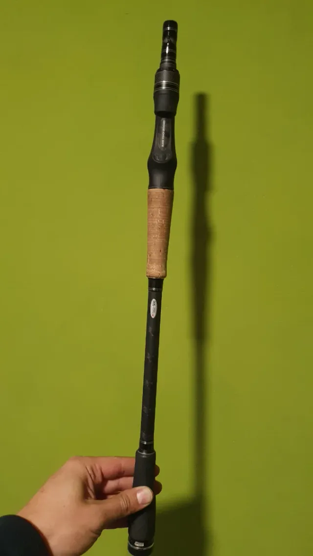 Caña Abu Garcia Hornet Stinger Plus