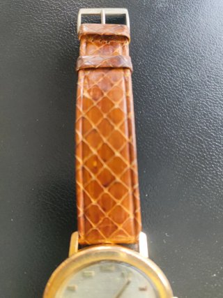Reloj Zodiac Senator Hermetic Automatic 1970. Oro