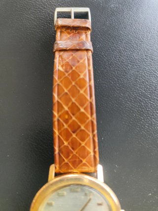 Reloj Zodiac Senator Hermetic Automatic 1970. Oro