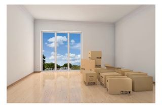 yo me ocupo de todo .