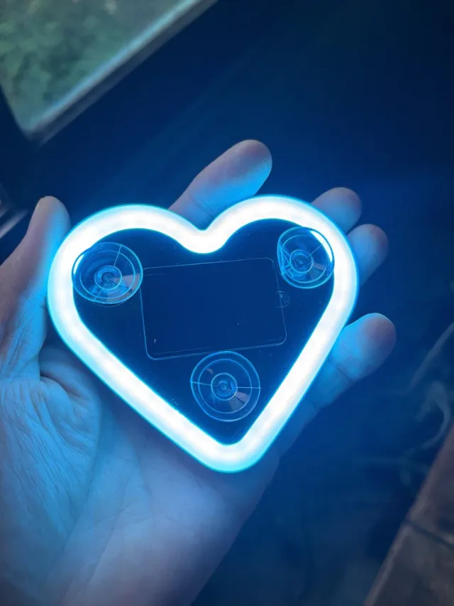 Luz Neon Corazón Rosa Coche