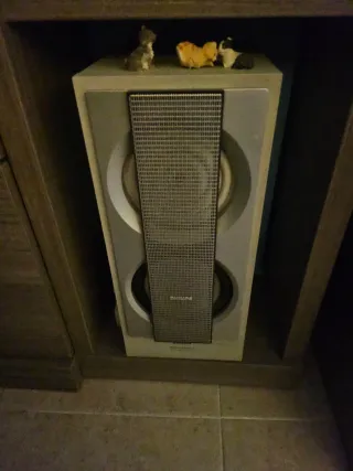 Reproductor de sonido Philips Plata