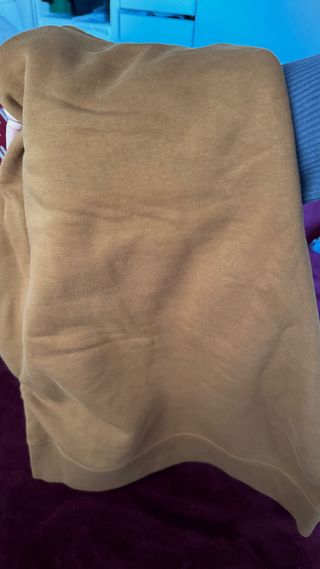 Sudadera Carhartt con capucha beige y azul