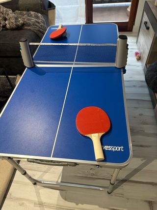 Mesa de Ping Pong Plegable