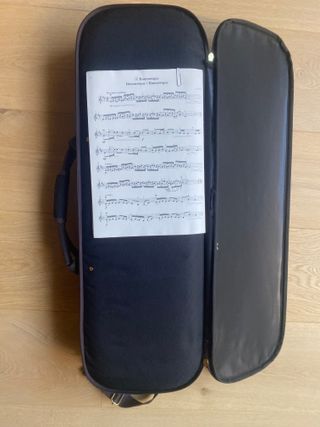 Violín Toulo-Fiddle 1/2 com nou, estoig i acces.