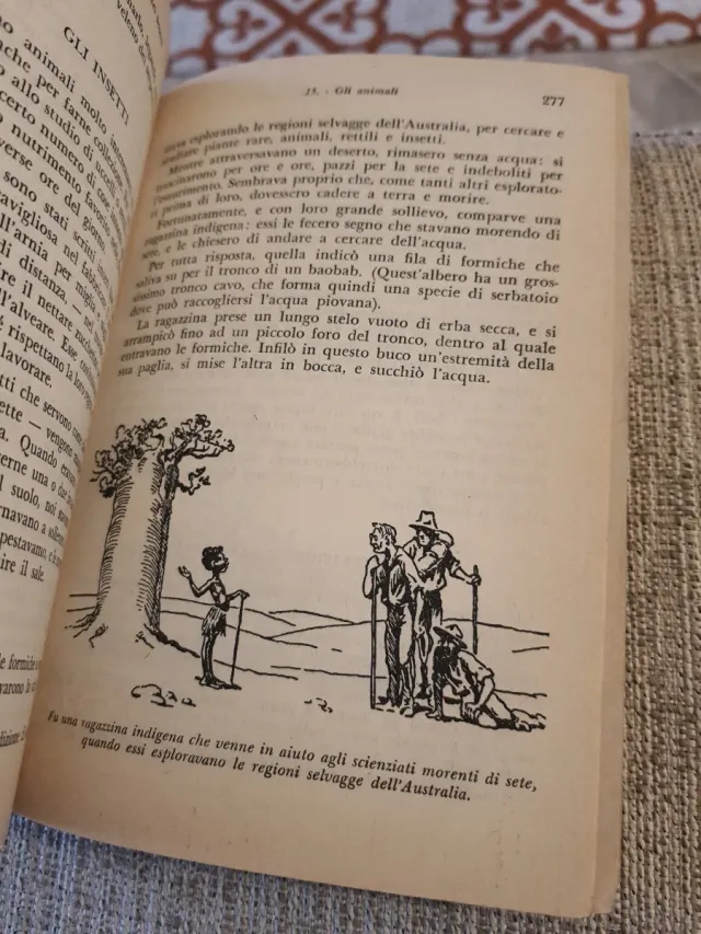 Scautismo per ragazzi