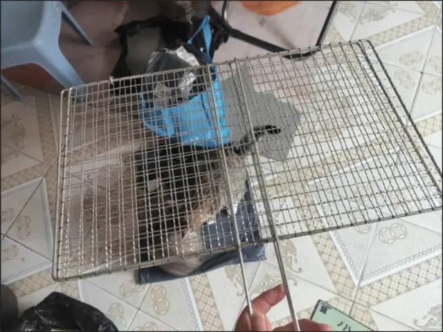 Red para barbacoa de metal