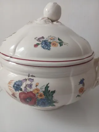 Sopera Sarreguemines Agreste