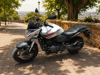 Honda Hornet 2010