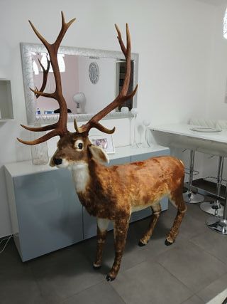 Statua Cervo Renna Decorativa Grandezza Naturale