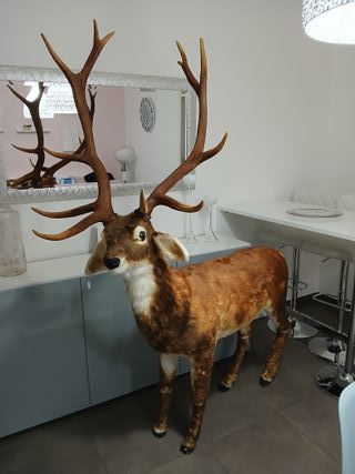 Statua Cervo Renna Decorativa Grandezza Naturale