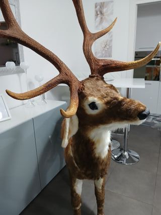 Statua Cervo Renna Decorativa Grandezza Naturale