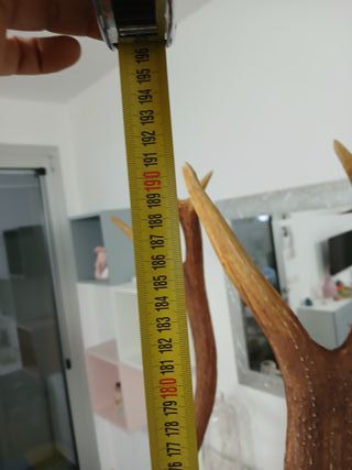 Statua Cervo Renna Decorativa Grandezza Naturale