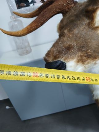 Statua Cervo Renna Decorativa Grandezza Naturale