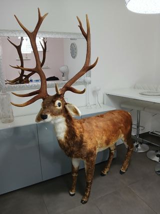 Statua Cervo Renna Decorativa Grandezza Naturale