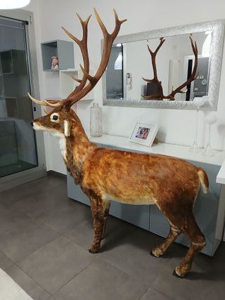 Statua Cervo Renna Decorativa Grandezza Naturale