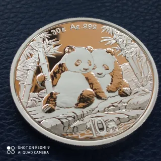 Moneda Plata Panda 30gr Año 2026.