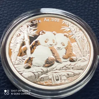 Moneda Plata Panda 30gr Año 2026.