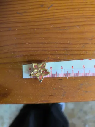 Pendientes Flor Oro y Coral