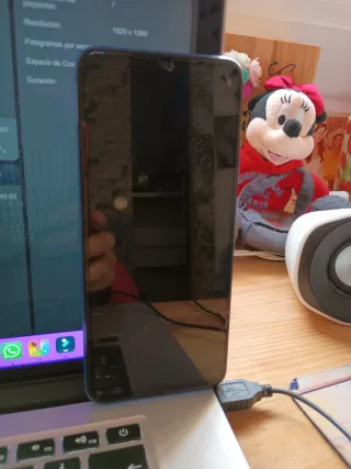 Xiaomi Redmi 10C Rosa