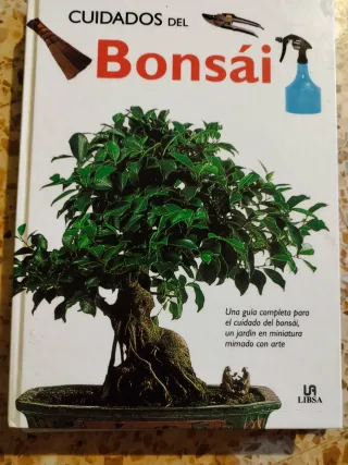 Cuidados del Bonsái: Una Guía Completa para el ...