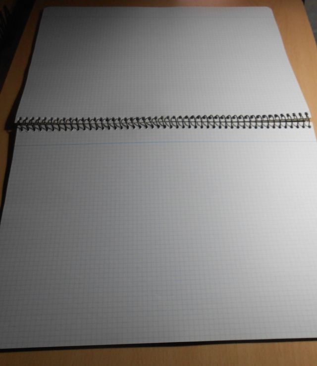 Quaderni WWE Undertaker e John Cena