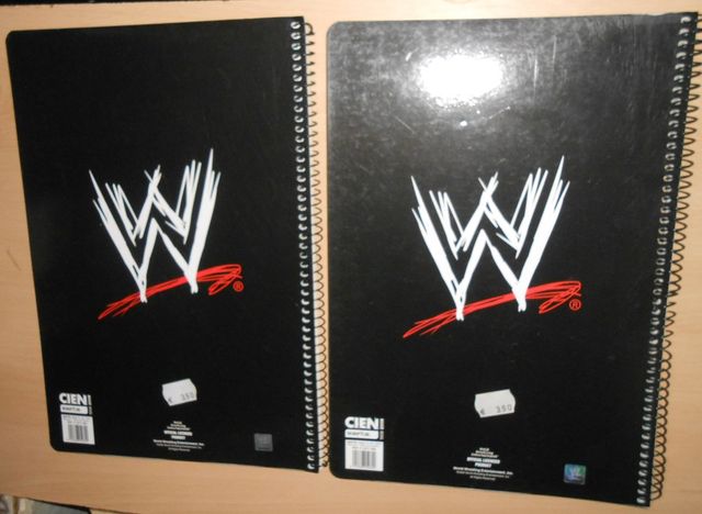 Quaderni WWE Undertaker e John Cena