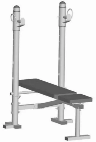 Banco de pesas BM100