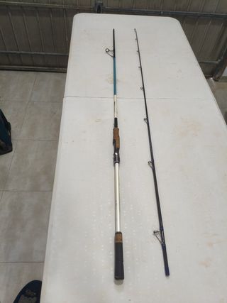 Caña Spinning Renzo Valdieri Taormina 270