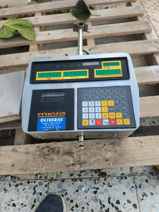 Balanza de charcutería