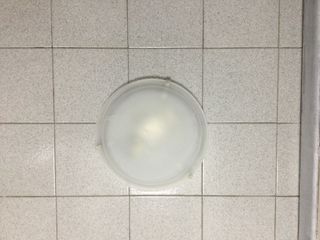 Plafoniera bianca e trasparente