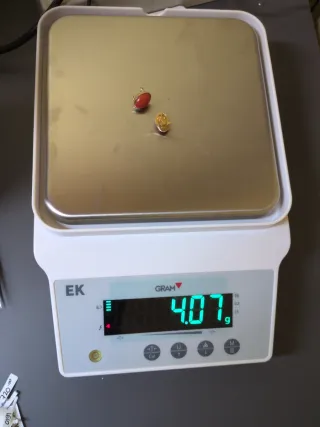 Pendientes Coral Natural Oro 18k