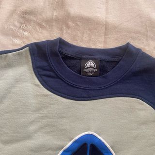 Nike ACG Sweatshirt Reworked